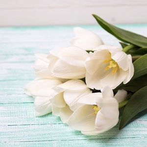 Meet your Posher, Dimitra